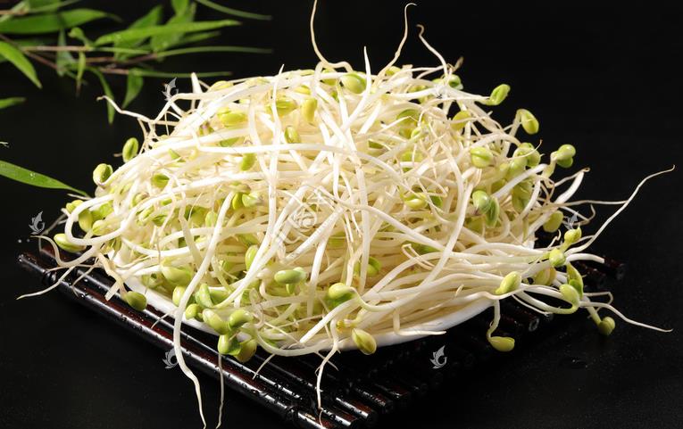 無公害綠色豆芽，怎么生產(chǎn)出來的？全套生產(chǎn)過程如此方便智能