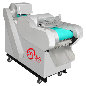 100型切塊機(jī).jpg
